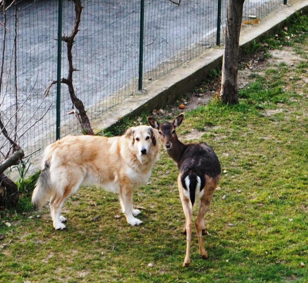 Segni E Impronta Bed & Breakfast Finale Ligure Luaran gambar