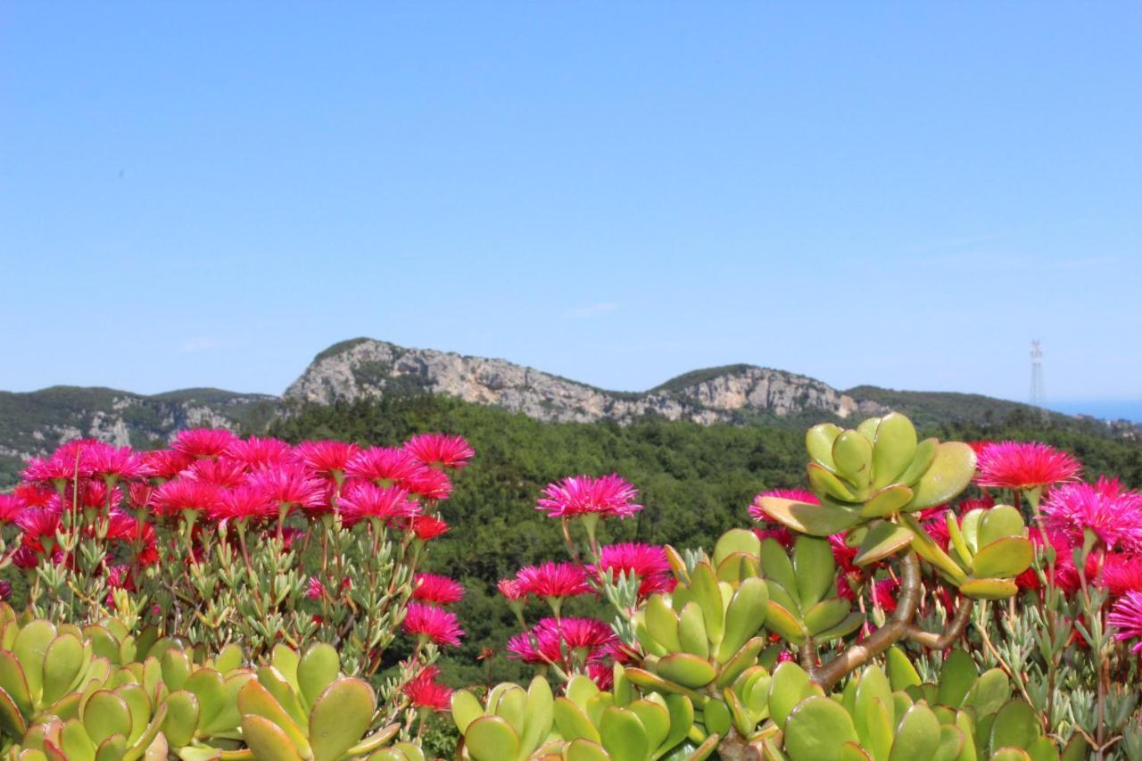 Segni E Impronta Bed & Breakfast Finale Ligure Luaran gambar