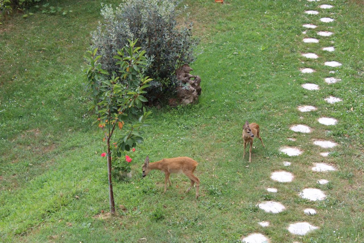 Segni E Impronta Bed & Breakfast Finale Ligure Luaran gambar