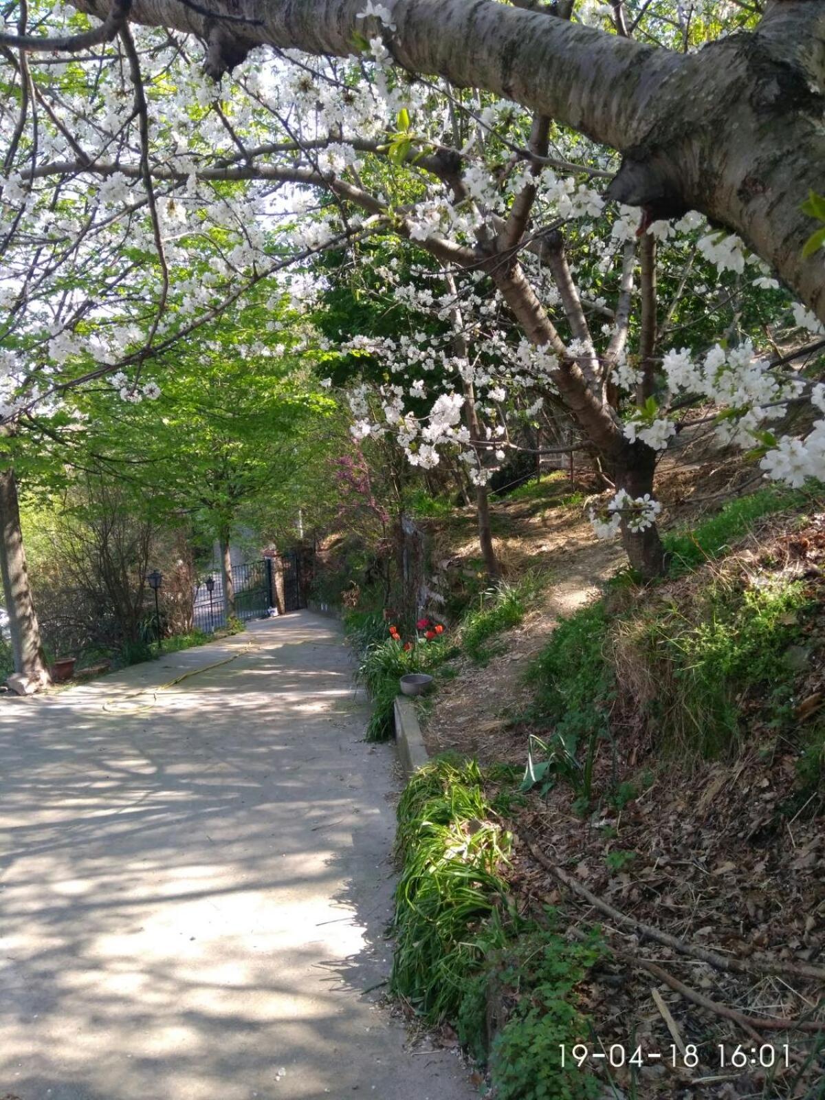 Segni E Impronta Bed & Breakfast Finale Ligure Luaran gambar