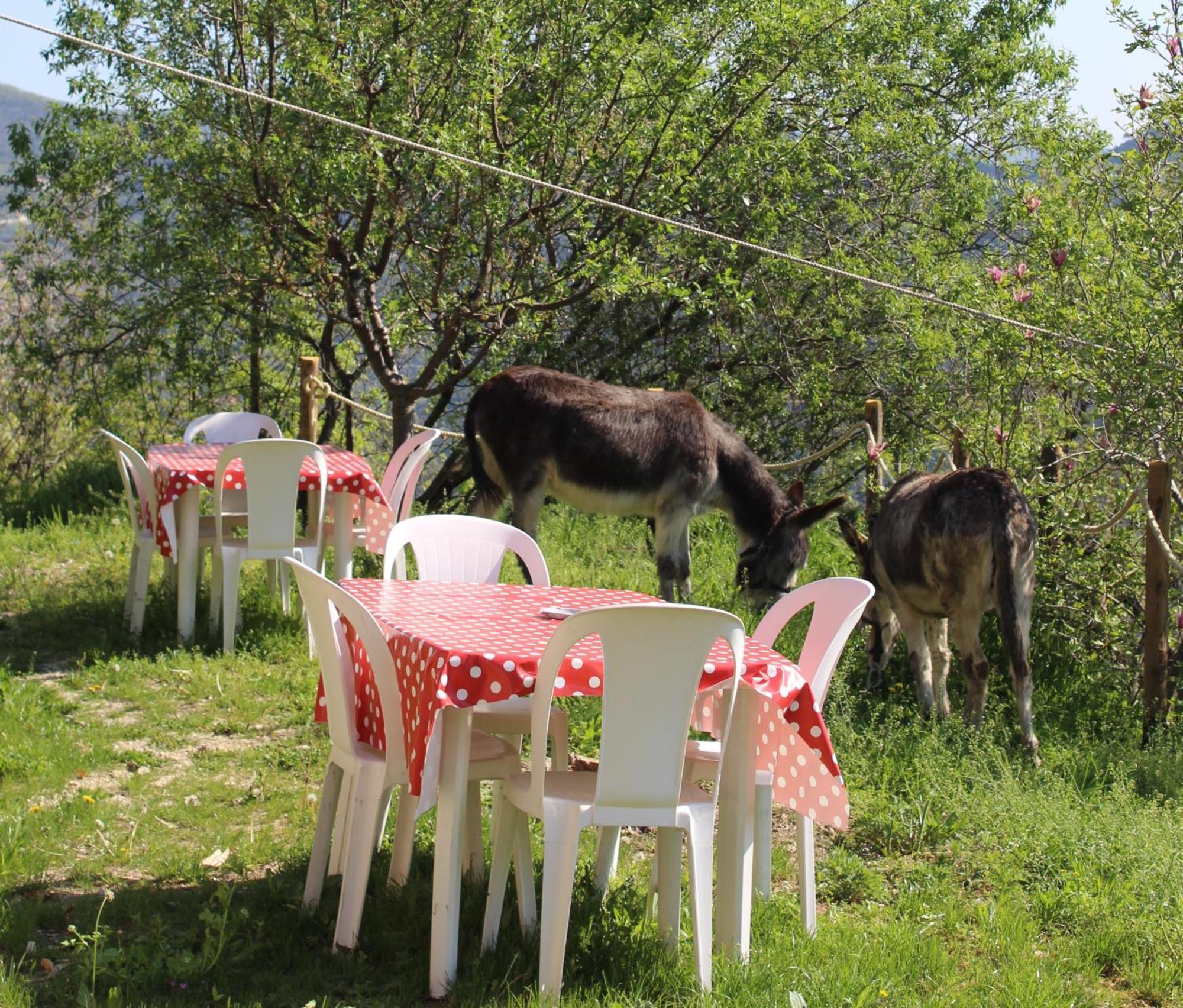 Segni E Impronta Bed & Breakfast Finale Ligure Luaran gambar