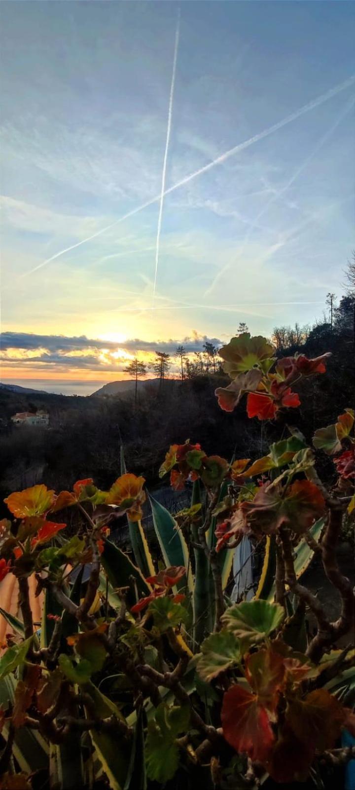 Segni E Impronta Bed & Breakfast Finale Ligure Luaran gambar